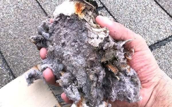 Dryer Vent Cleaning INC- Livesite