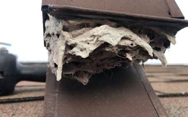 Dryer Vent Cleaning INC- Livesite